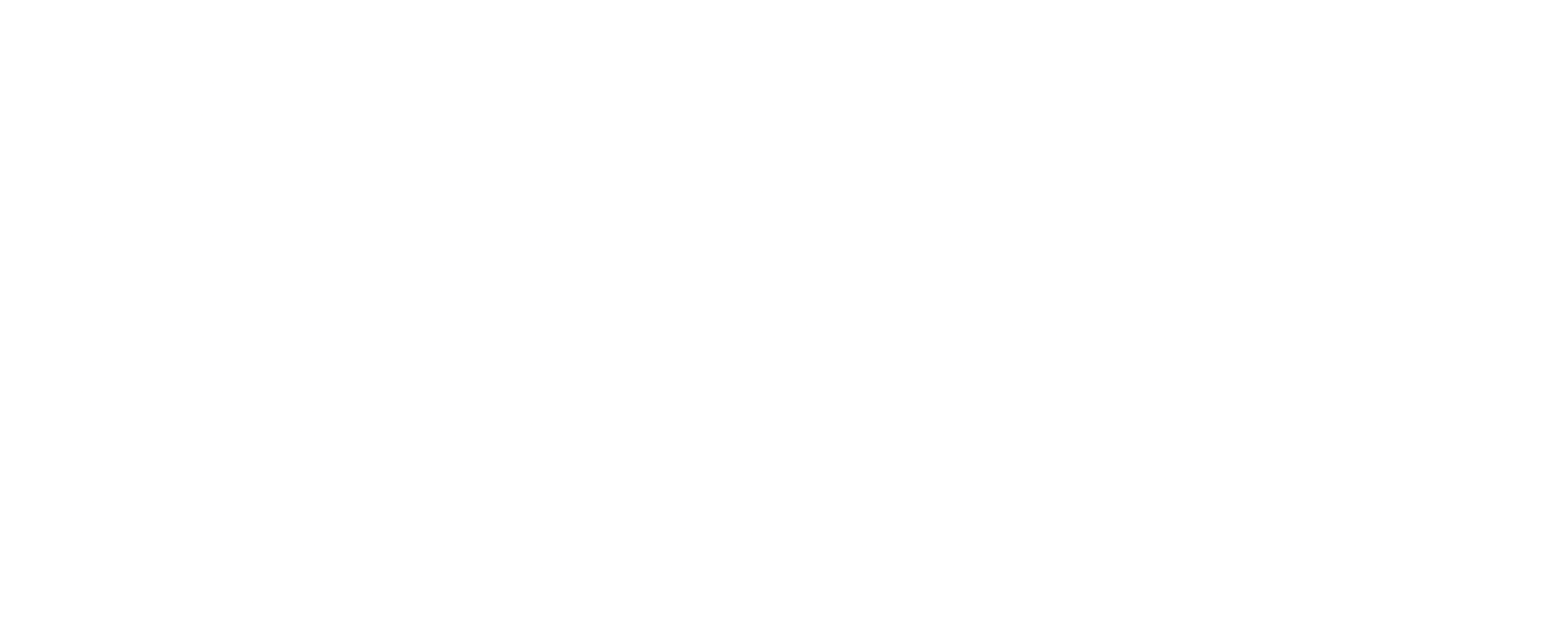 ROLEFLY logo